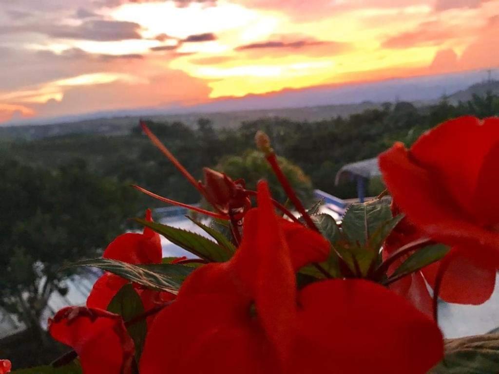 Hotel Casa Natura เปเรย์รา ภายนอก รูปภาพ